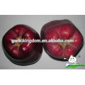 Manzana de Huaniu / manzana de China huaniu / manzana roja deliciosa